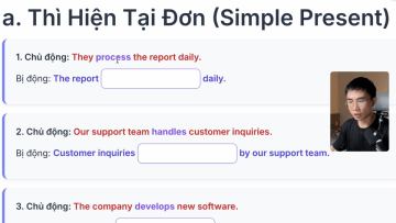 video_24c_1763049668